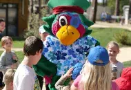 Mar Estang activites