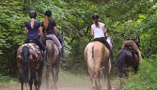 Une balade à cheval