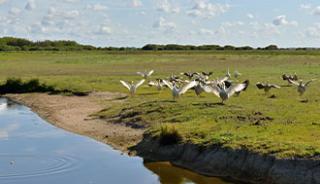 Le Parc Naturel régional de la Brière