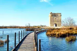 Visitez La Petite Camargue