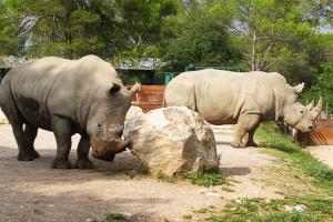 Le zoo de Lunaret