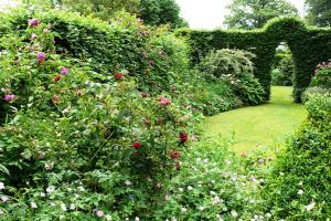 Le jardin des Oubliées