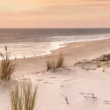 Que faire à Biscarrosse 