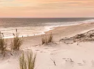 Que faire à Biscarrosse 